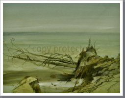 Baum im Meer, Aquarell, 1988, 36/47 cm