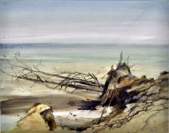 Baum im Meer, Aquarell, 1981, 26/44 cm