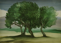 Oliven von Kreta, Aquarell, 1997, 32/44 cm