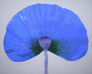 Morpheus, Acryl, 2009, 80/100 cm