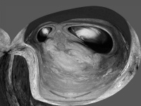 R&uuml;ckblick, 40/30 cm