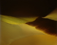 Wels Acryl, 2003, 60/75 cm Wels Acryl, 2003, 60/75 cm