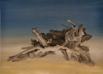 Wurzelschrei, Aquarell, 1995, 41/47 cm